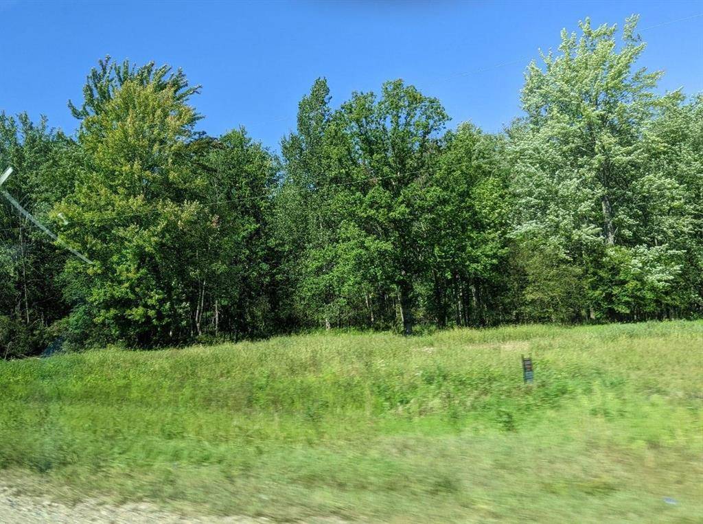 Almena Twp, MI 49071,27090 M 43 Highway