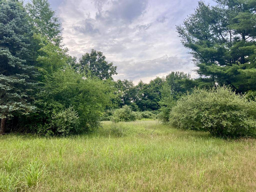 Cheshire Twp, MI 49010,1143 38th Street