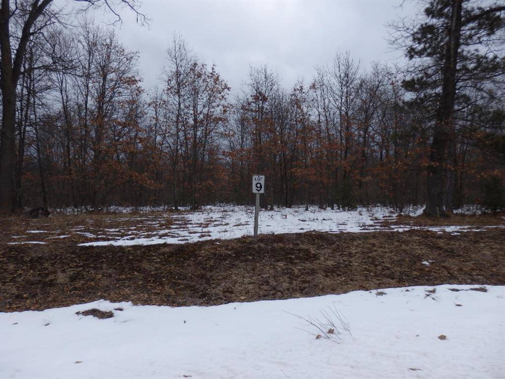 Manistee Twp, MI 49660,Lot 9 Renaissance
