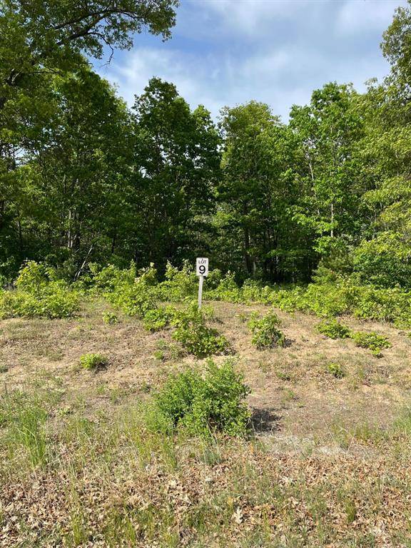 Manistee Twp, MI 49660,Lot 9 Renaissance