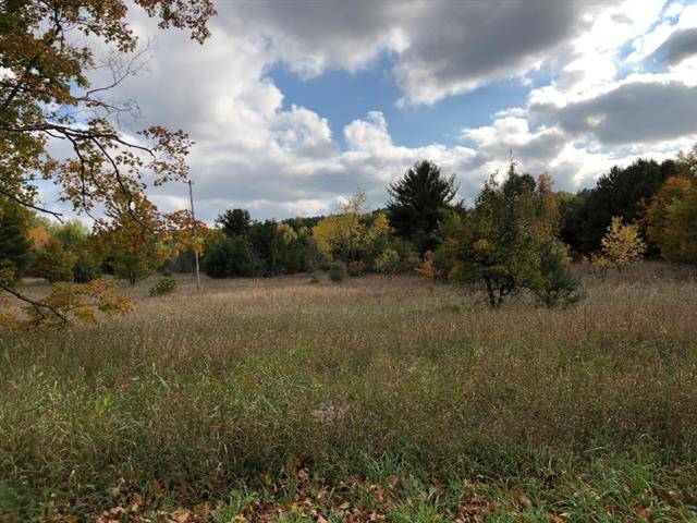 Bear Lake Twp, MI 49614,Potter Road Modifier: 13.02 Acres