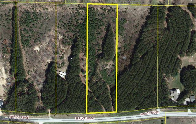 Bear Lake Twp, MI 49614,Lot 6 Spruce Ridge