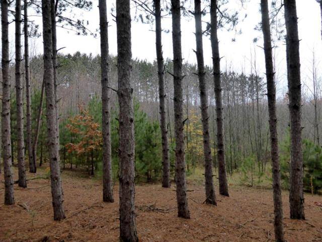 Bear Lake Twp, MI 49614,Lot 6 Spruce Ridge