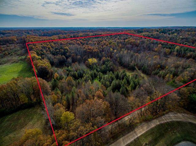 Grant Twp-oceana Co, MI 49446,V/L Yale Road ; Modifier: 40 Acres