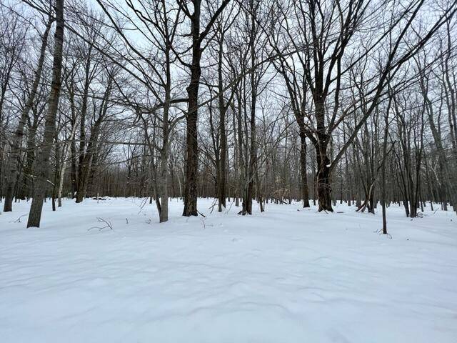 Grant Twp-mason Co, MI 49660,W Windward Forest Trail ; Modifier: 2.50 acres