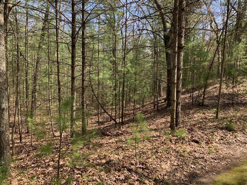 Summit Twp, MI 49449,Lenox Avenue