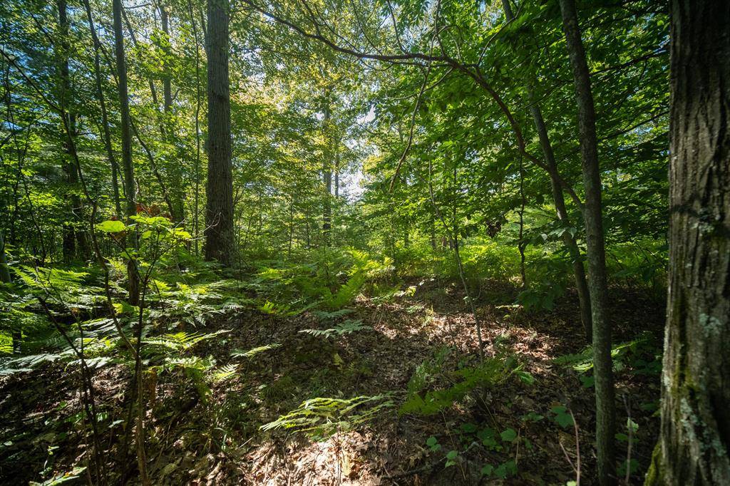 Onekama Twp, MI 49675,Emerald Ridge 29