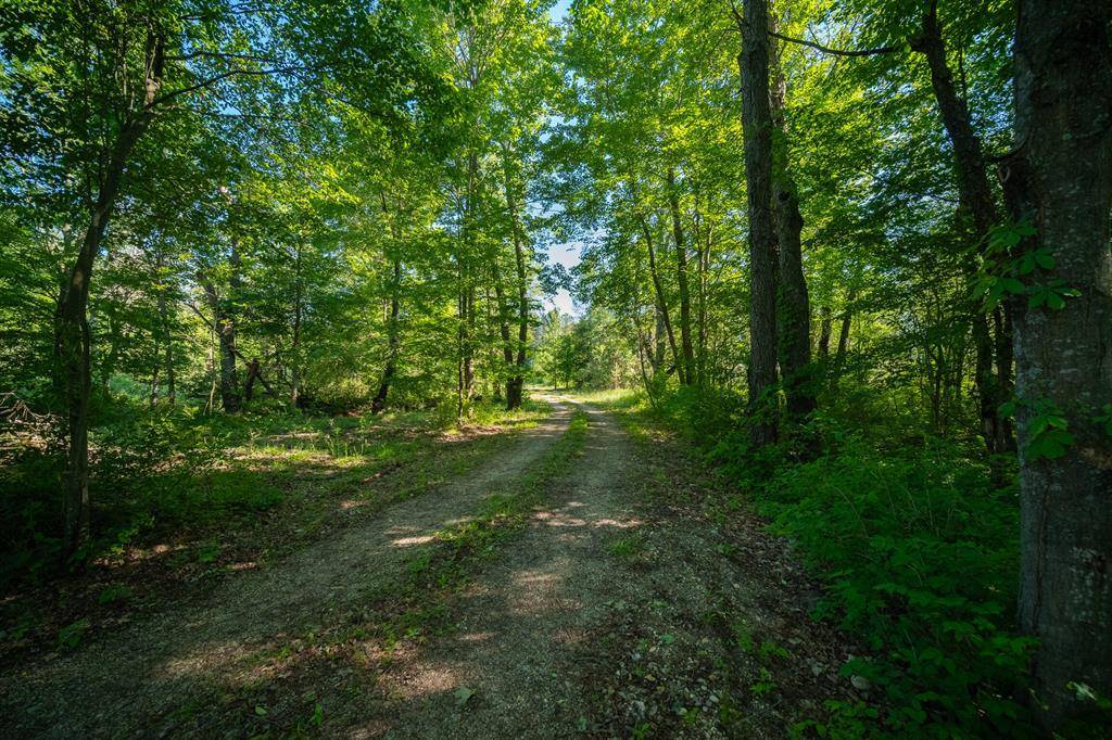 Springdale Twp, MI 49683,Parcel C VONDRA