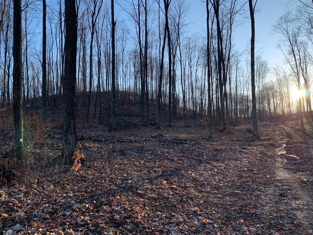 Bear Lake Twp, MI 49614,O Chief Road