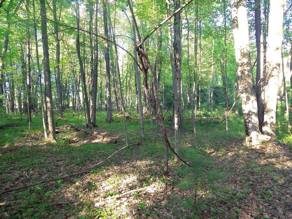 Grant Twp-mason Co, MI 49660,Koenig Road D