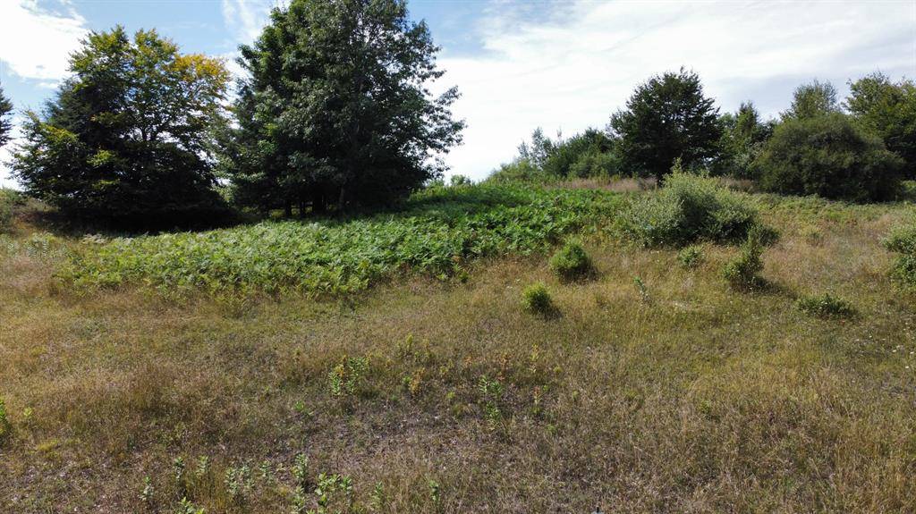 Onekama Twp, MI 49675,86 N Slope Drive