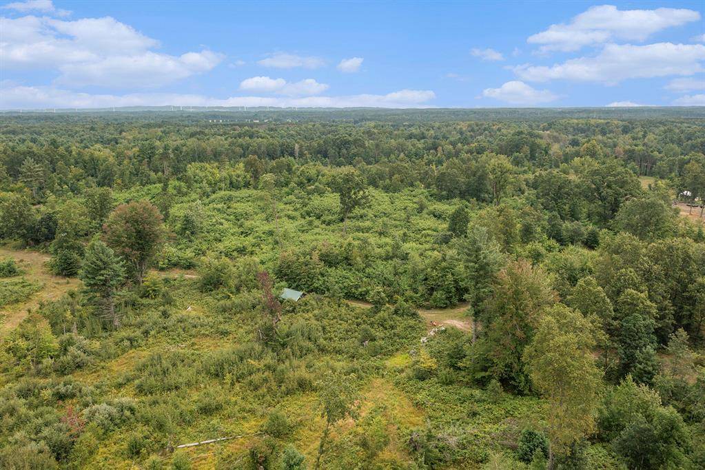 Weare Twp, MI 49420,30 Acres Madison Road