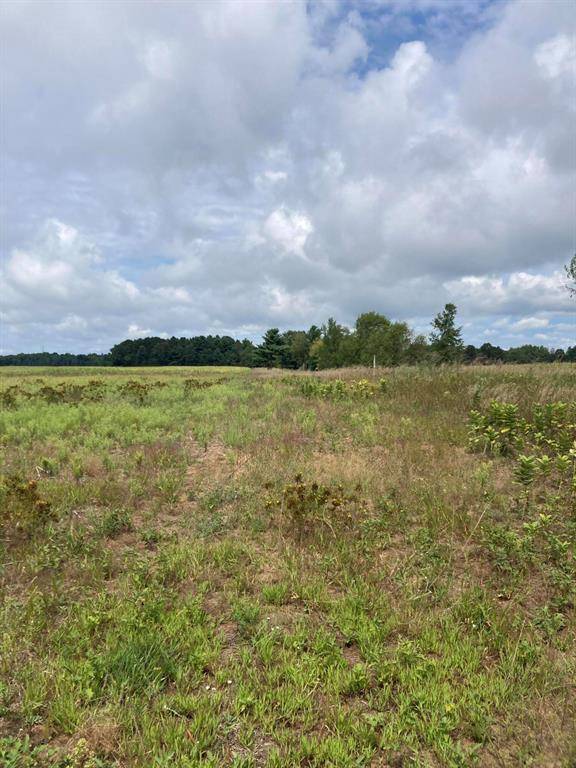 Weare Twp, MI 49449,V/L 88th Avenue