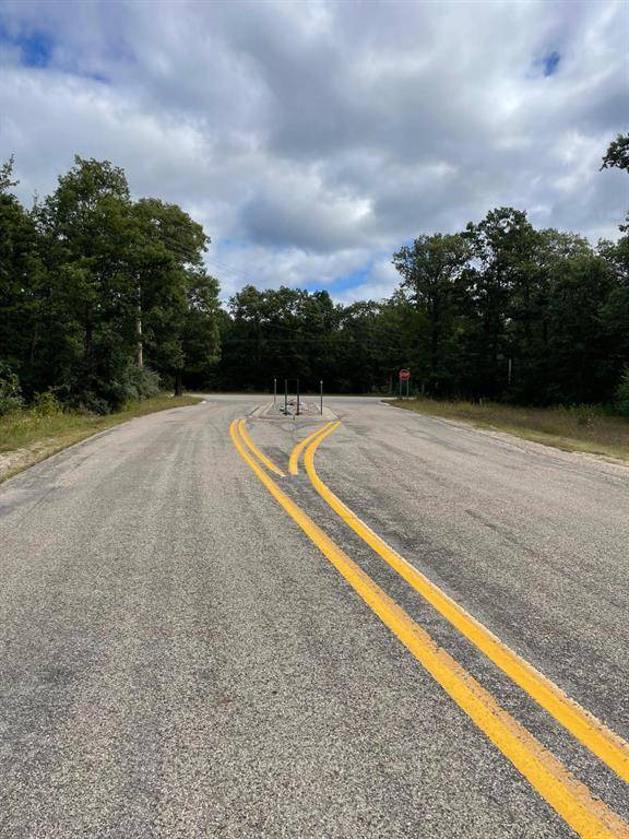 Manistee Twp, MI 49660,Lot 1 Renaissance Park