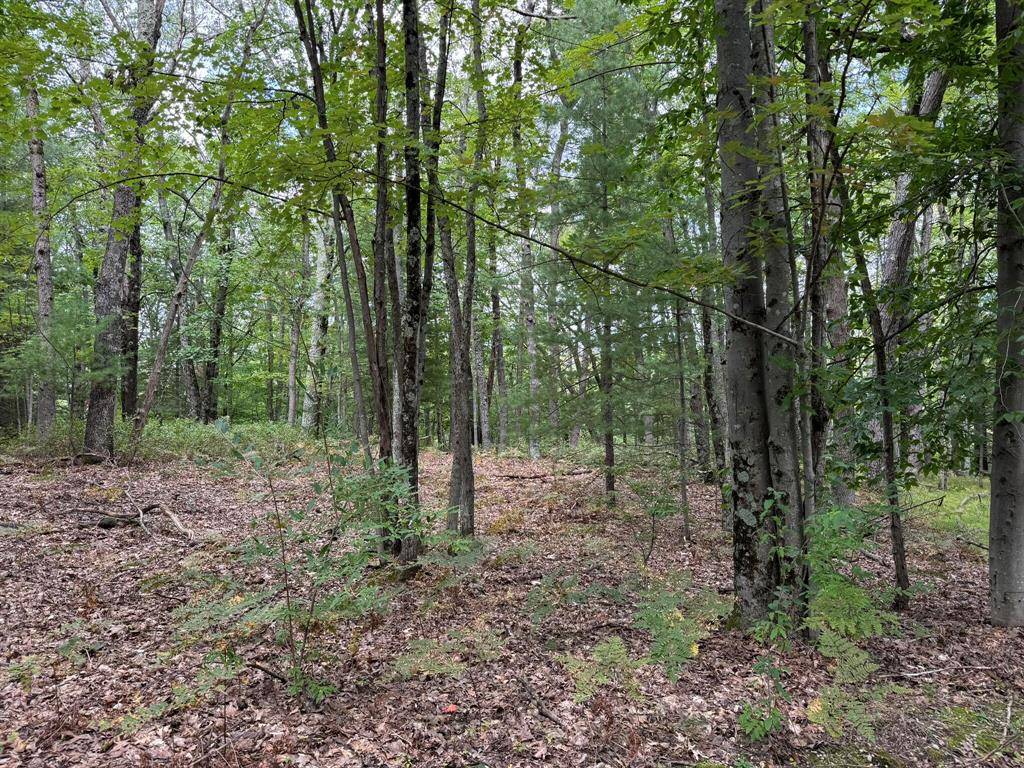 Elk Twp, MI 49644,11337 N Caribou Trail
