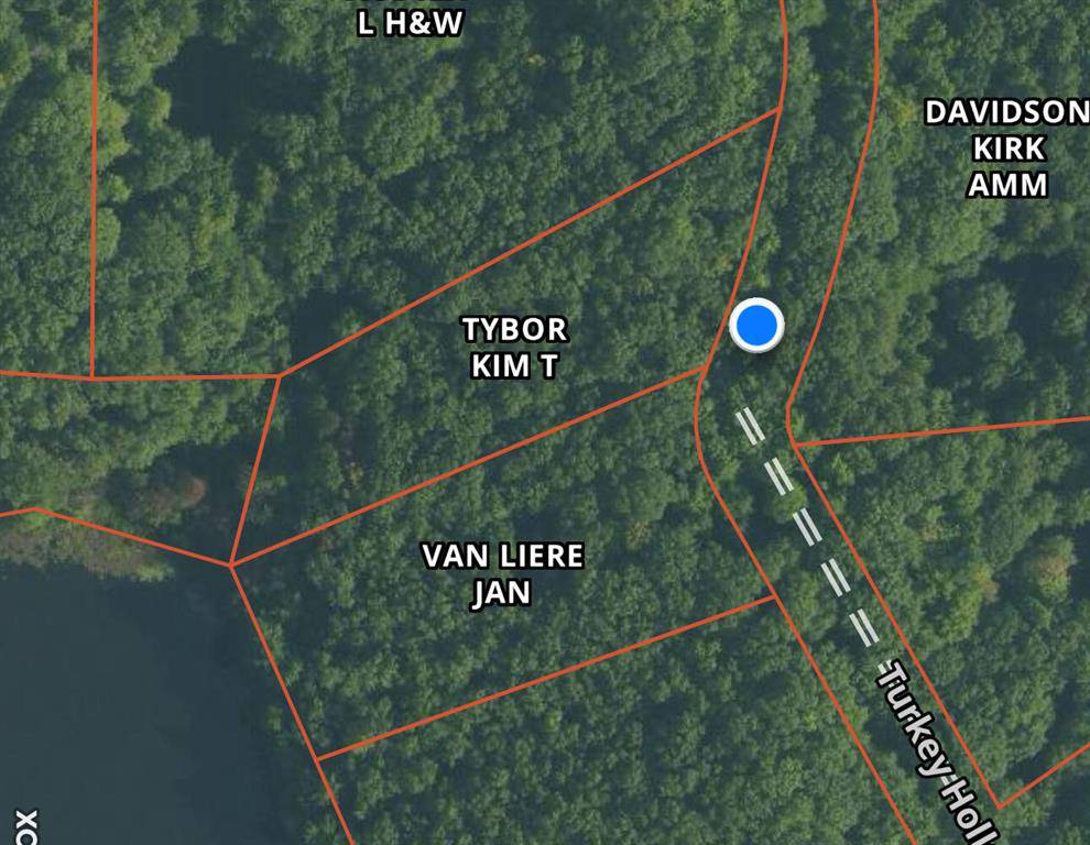 Elk Twp, MI 49644,11337 N Caribou Trail