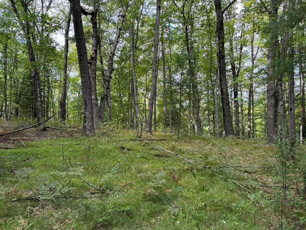 Elk Twp, MI 49644,11337 N Caribou Trail