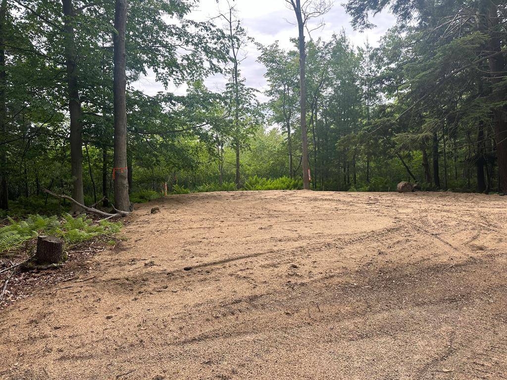 Pentwater Twp, MI 49449,V/L Watson Avenue