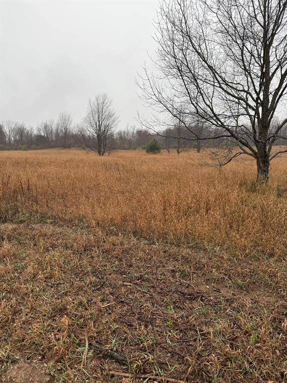 Bear Lake Twp, MI 49645,Tannerville