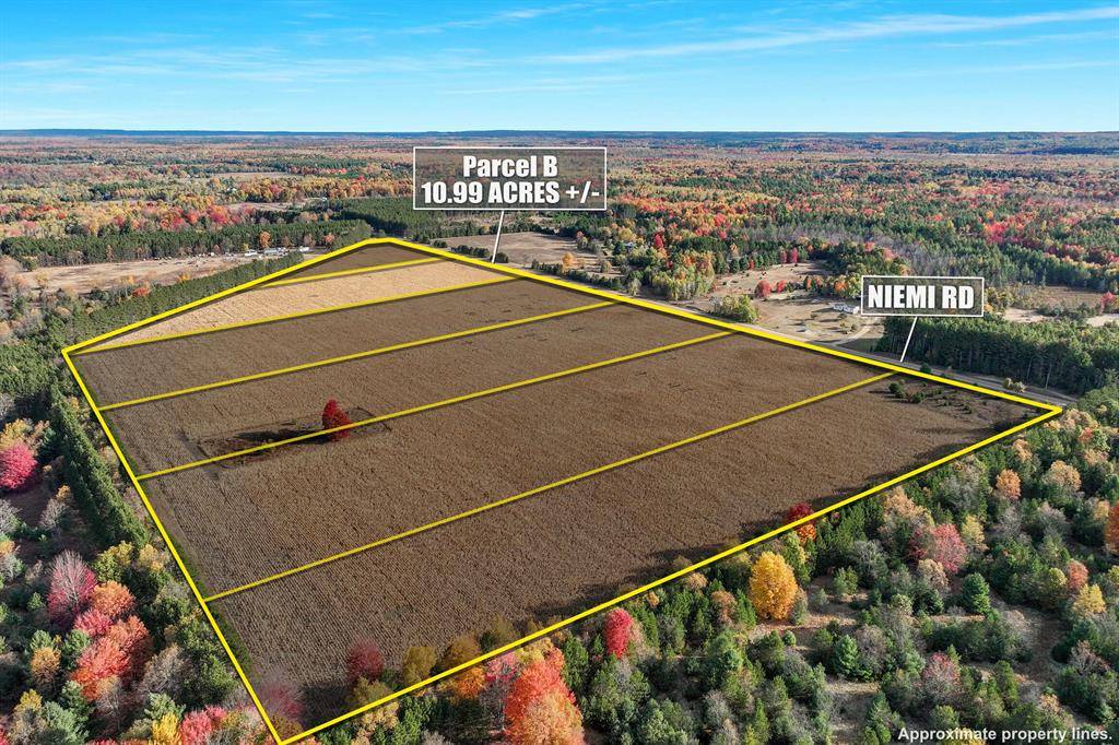 Maple Grove Twp, MI 49645,0 V/L 10.99 ACRES Niemi Road PARCEL B