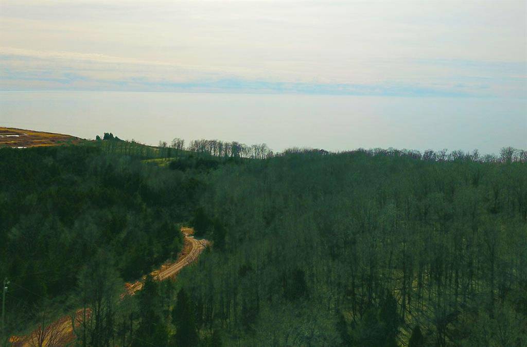 Arcadia Twp, MI 49613,00 Maxey Road