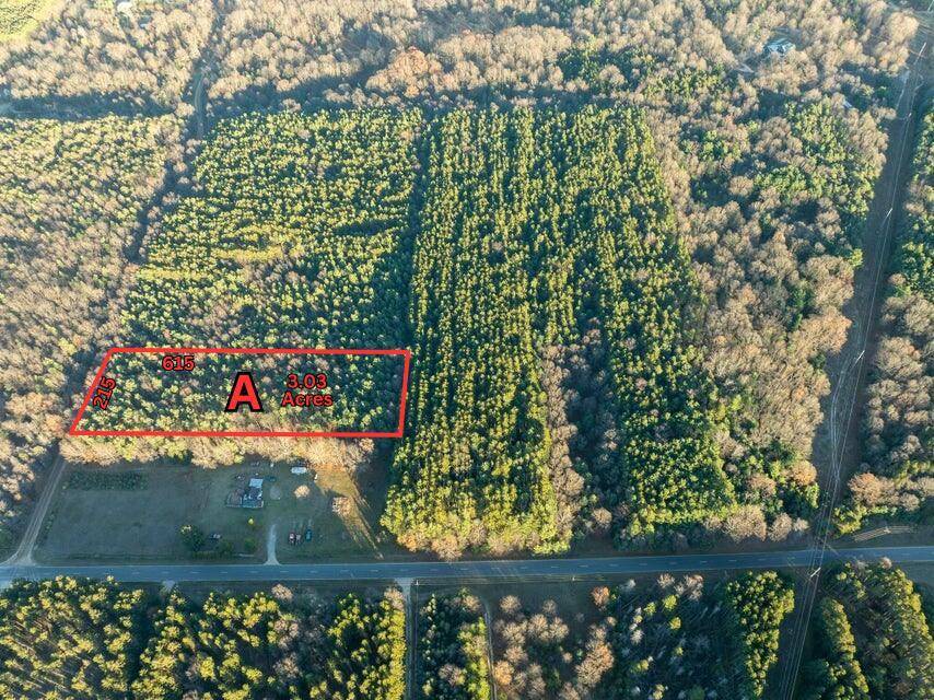 Golden Twp, MI 49436,Parcel A Scout Road Modifier: 3.03 Acres
