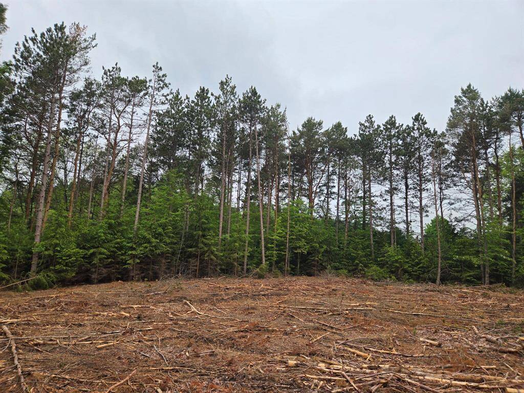 Golden Twp, MI 49436,Parcel E 52nd Avenue Modifier: 3.07 Acres