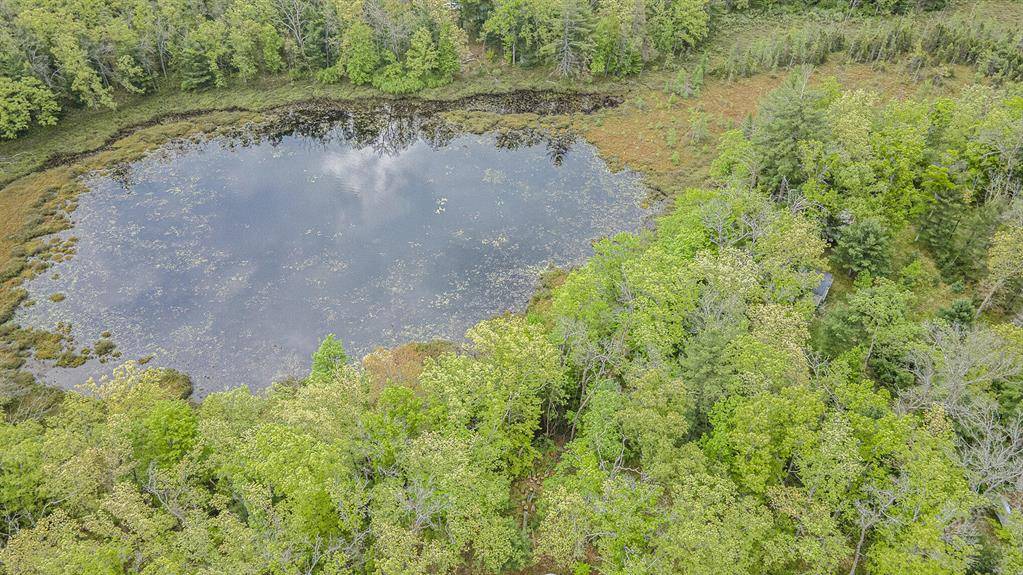 Yates Twp, MI 49642,VL S Tacoma Street