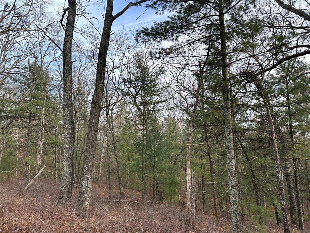 Pentwater Twp, MI 49449,4.39 Acres BR US 31