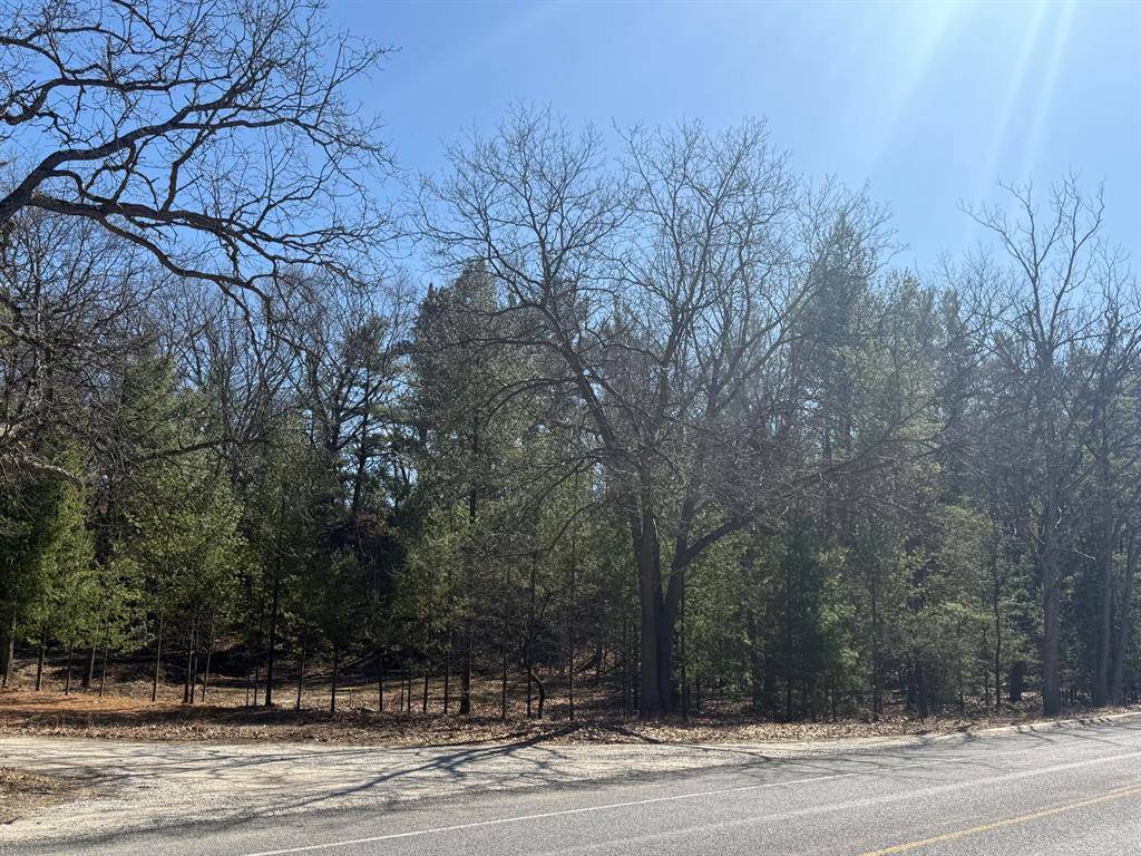 Pentwater Twp, MI 49449,4.39 Acres BR US 31