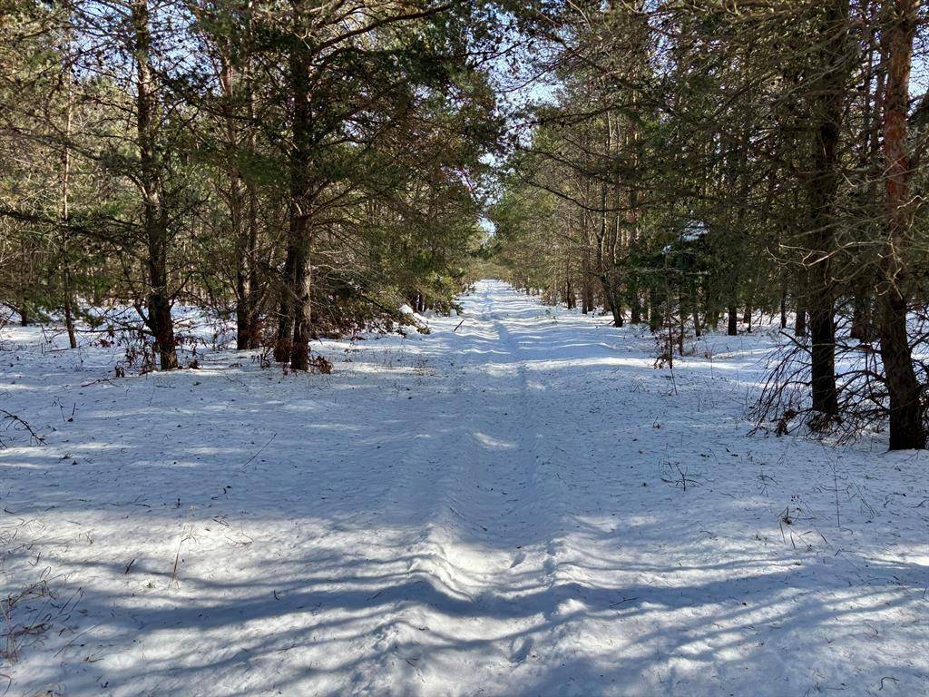 Maple Grove Twp, MI 49645,001 Jouppi