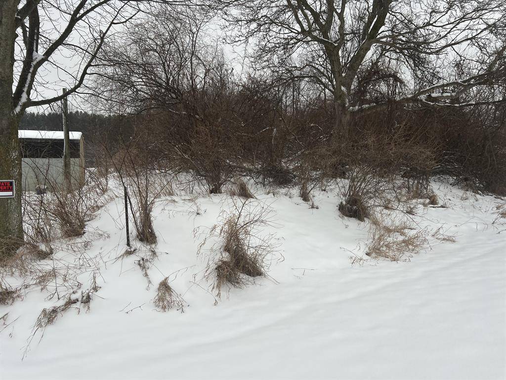 Eden Twp, MI 49405,Lot 108 Stella Street