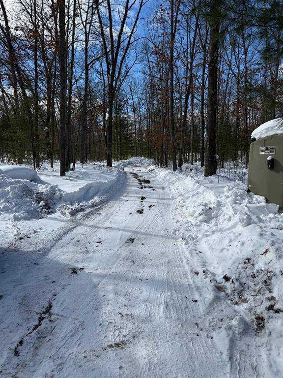 Norman Twp, MI 49660,Bosschem