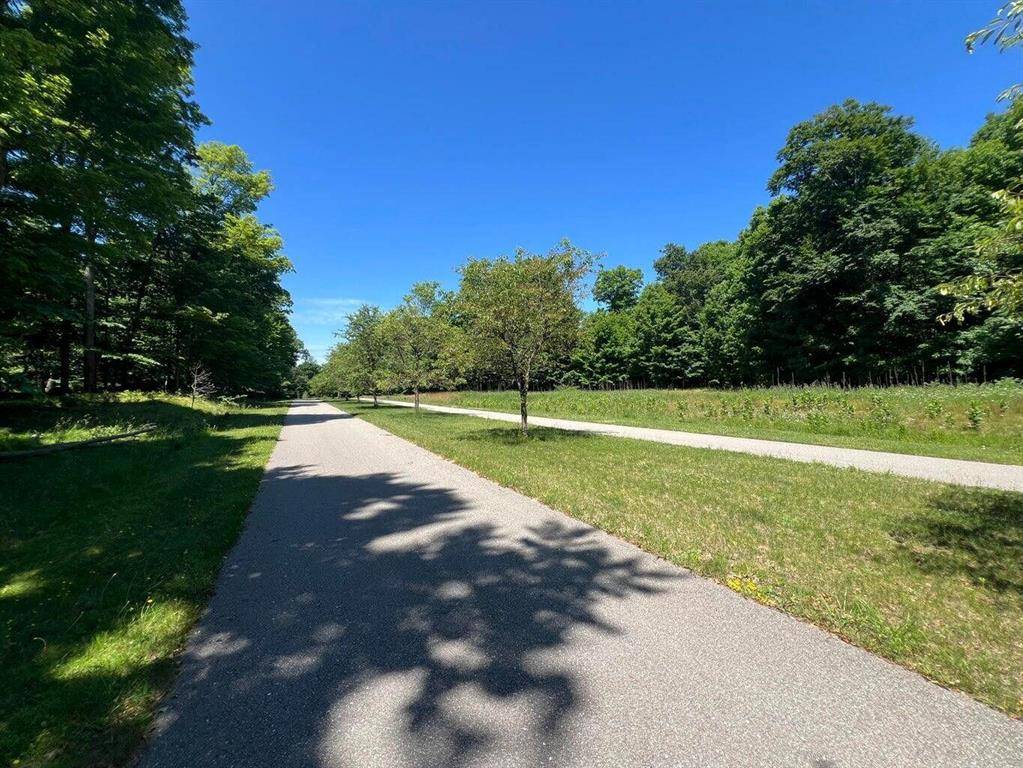 Hamlin Twp, MI 49431,VL W Nanninga Drive Unit #15