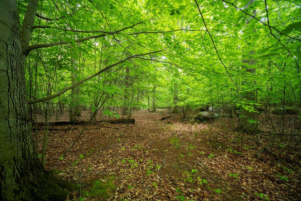 Manistee Twp, MI 49660,Wildwood Trail Modifier: (9.48 Acres)