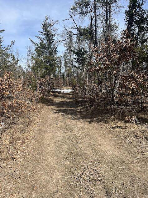 South Branch Twp, MI 49689,11168 W 52 RD