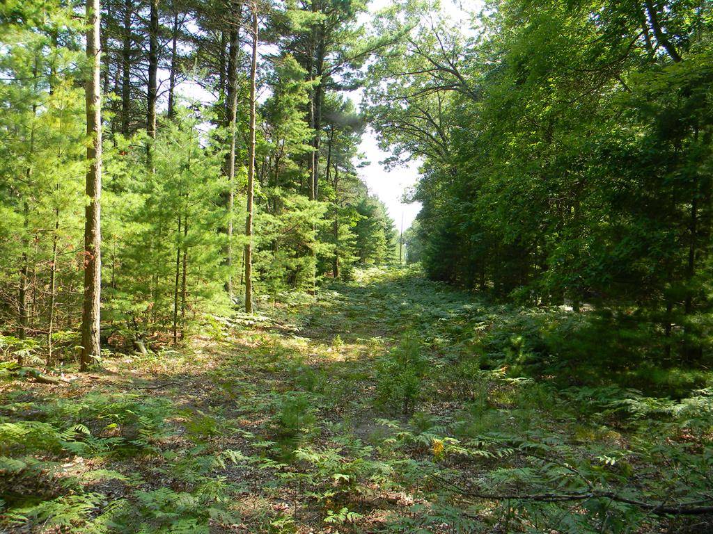 Pentwater Twp, MI 49449,N 56th Avenue Modifier: V/L Parcel A