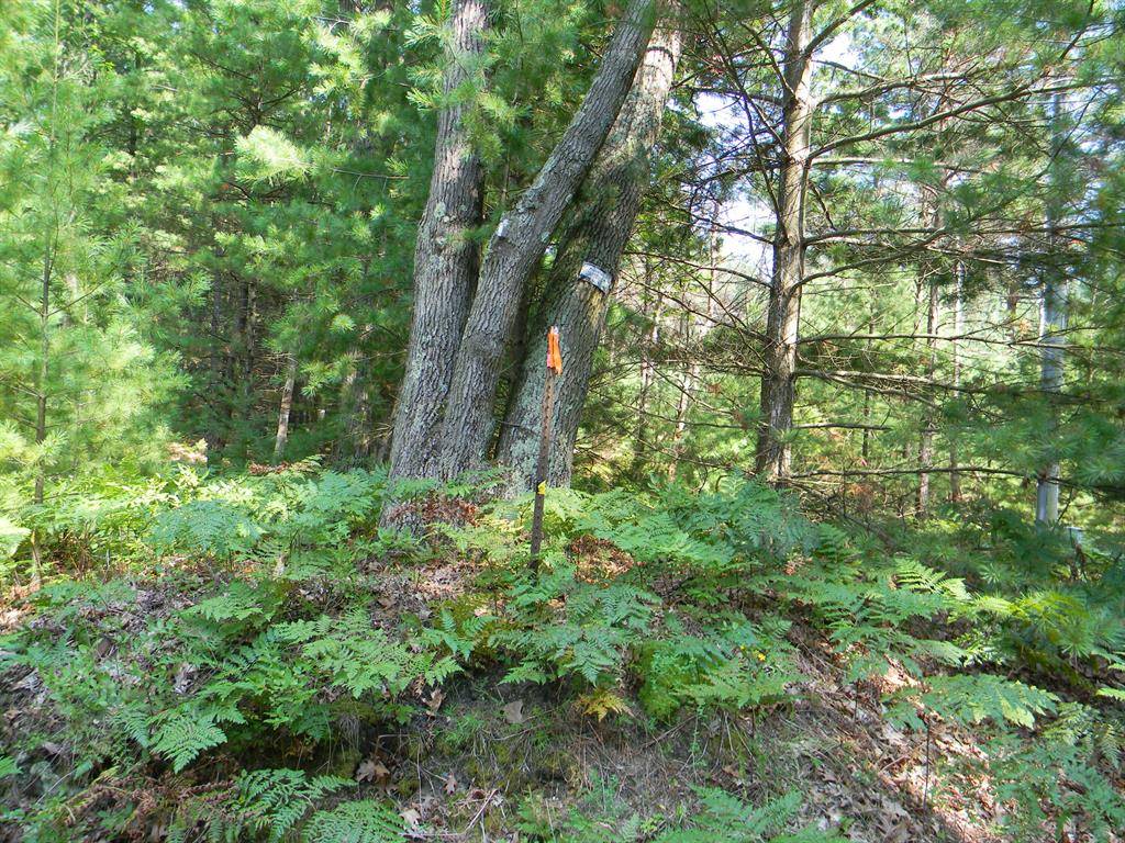 Pentwater Twp, MI 49449,N 56th Avenue Modifier: V/L Parcel A