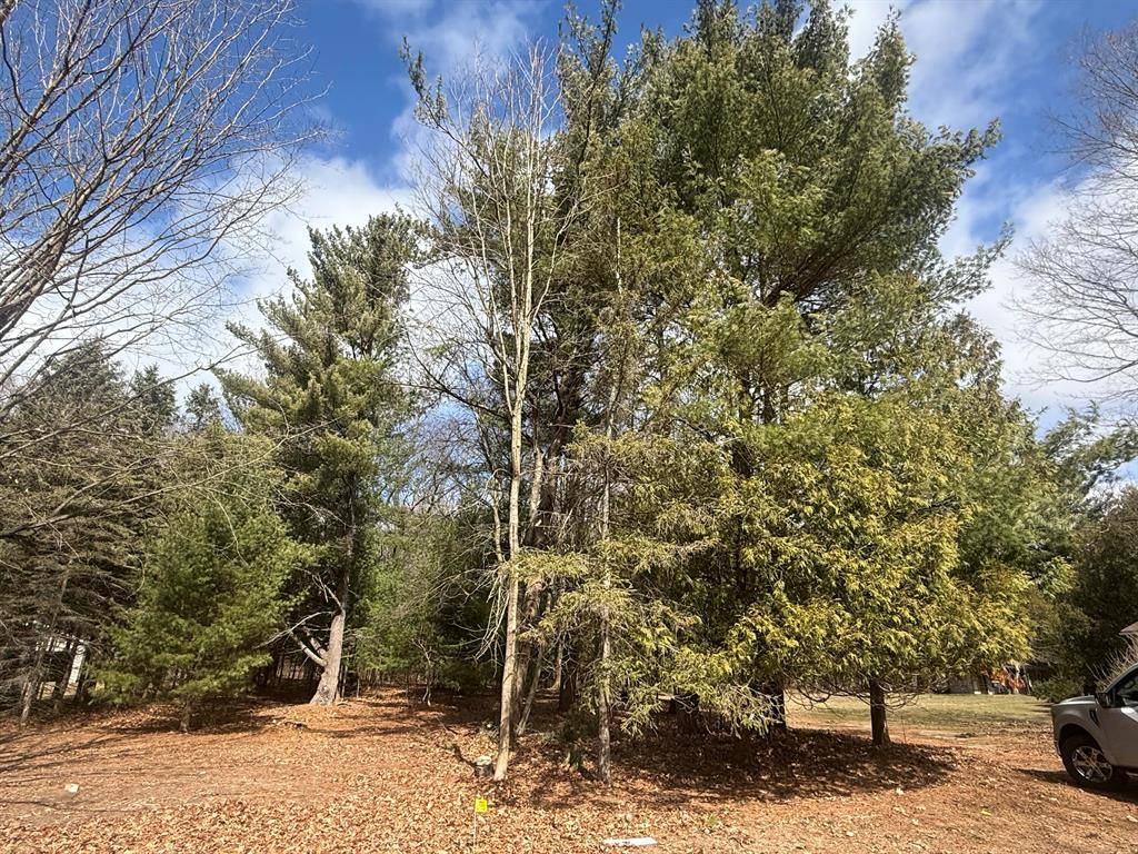 Pentwater Vlg, MI 49449,1112 2nd Street