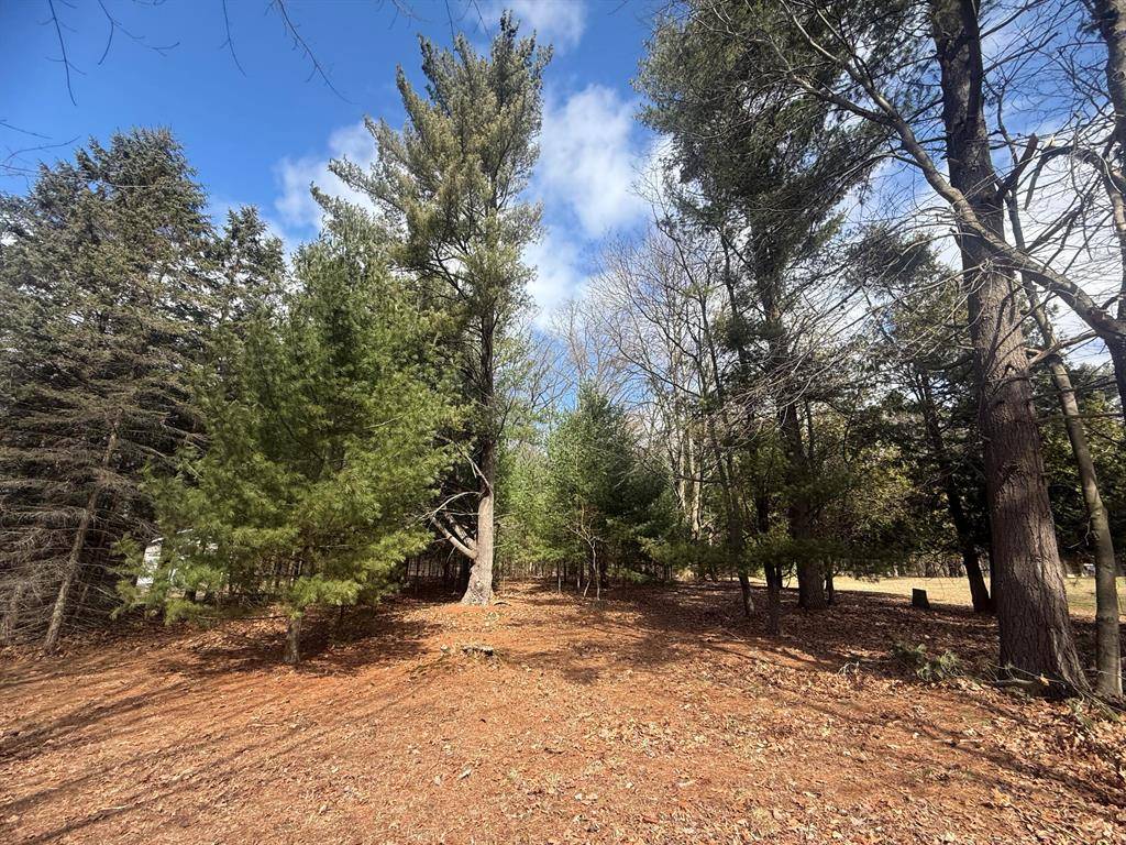 Pentwater Vlg, MI 49449,1112 2nd Street