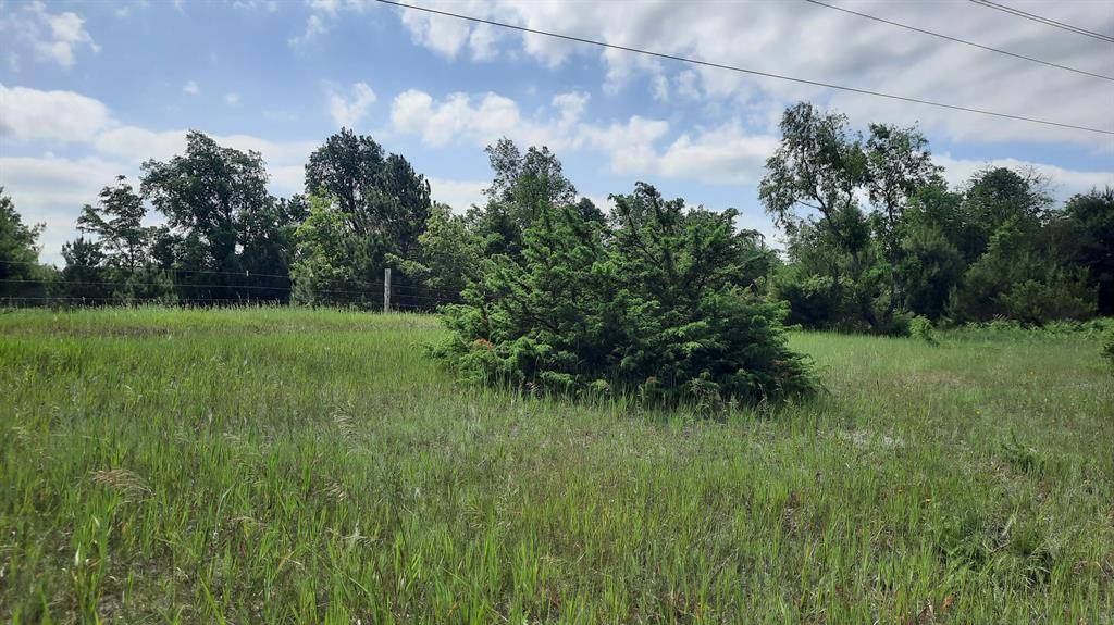 Maple Grove Twp, MI 49645,19.5 Acres 9 Mile Road