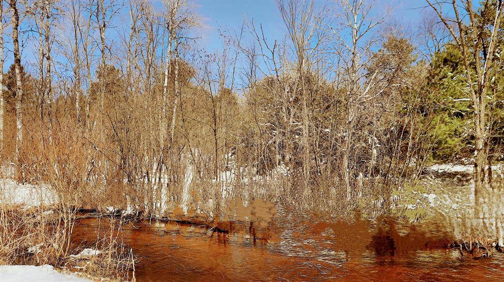 Maple Grove Twp, MI 49645,19.5 Acres 9 Mile Road
