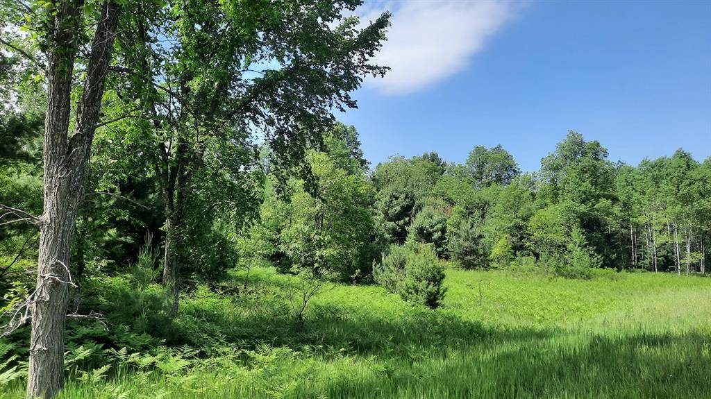 Maple Grove Twp, MI 49645,19.5 Acres 9 Mile Road