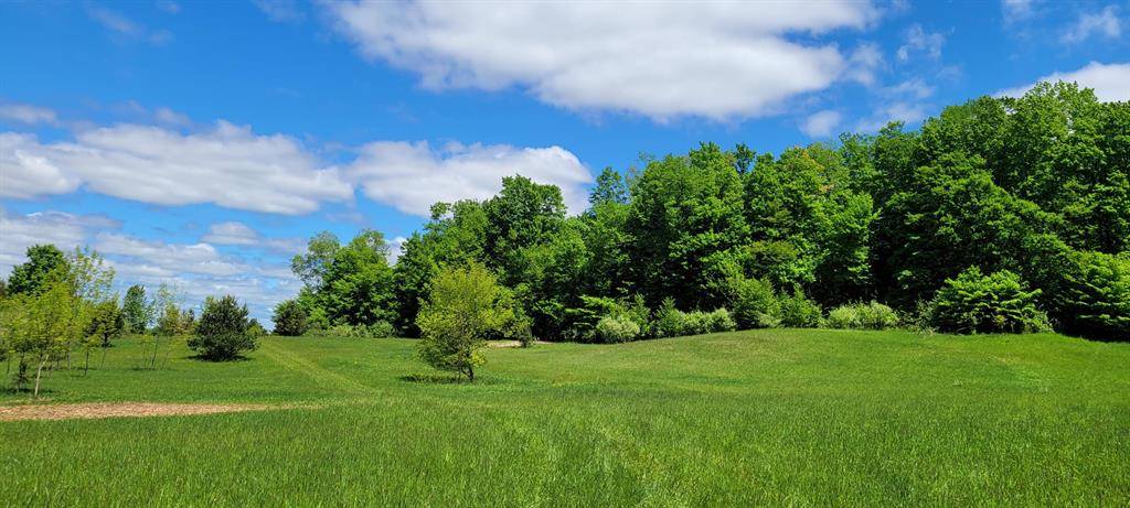 Shelby Twp, MI 49455,287 W Baseline Road