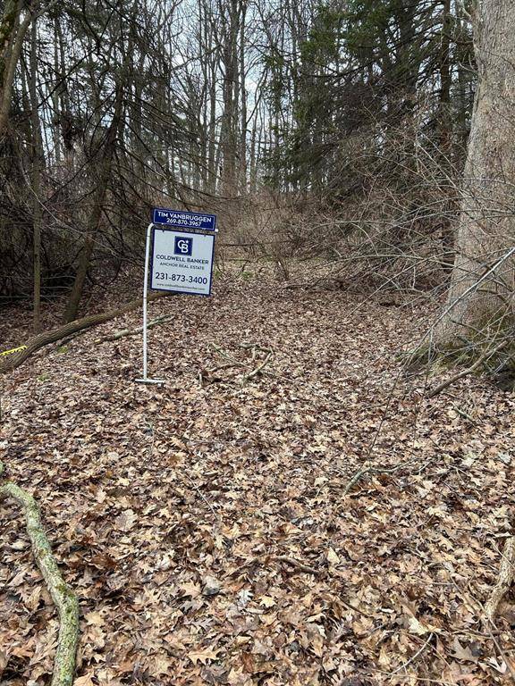 Pentwater Twp, MI 49449,V/L Smugglers Pass Lot 15