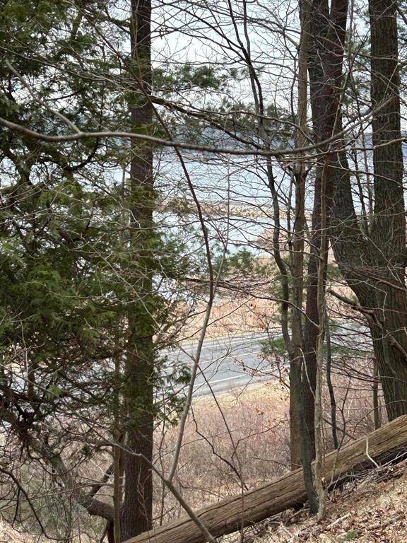 Pentwater Twp, MI 49449,V/L Smugglers Pass Lot 15