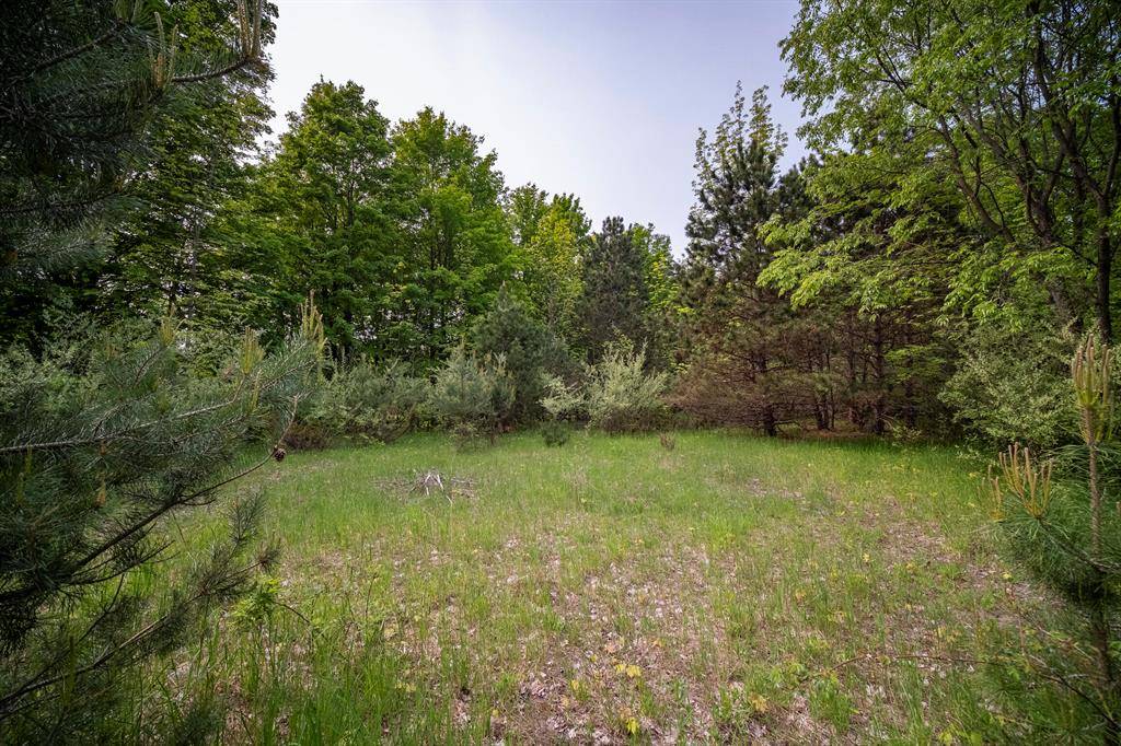 Benzonia Twp, MI 49617,Covey Road Modifier: (2.76 Acres)