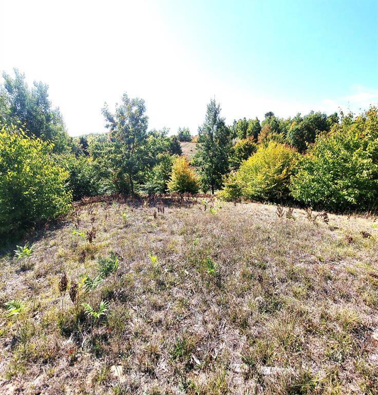 Onekama Twp, MI 49675,Eagle Ridge Circle Lot 102
