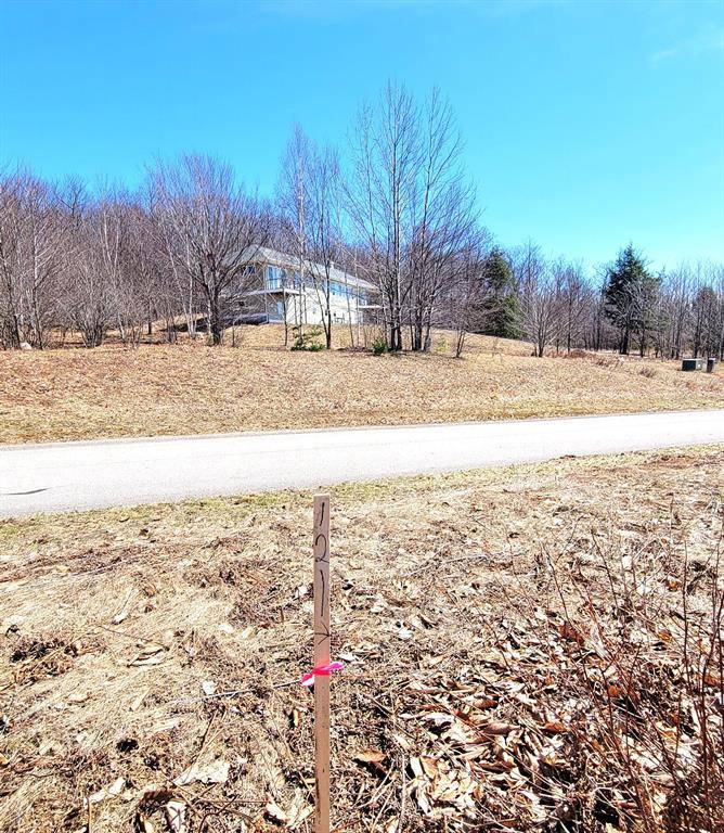 Onekama Twp, MI 49675,Eagle Ridge Circle Lot 121
