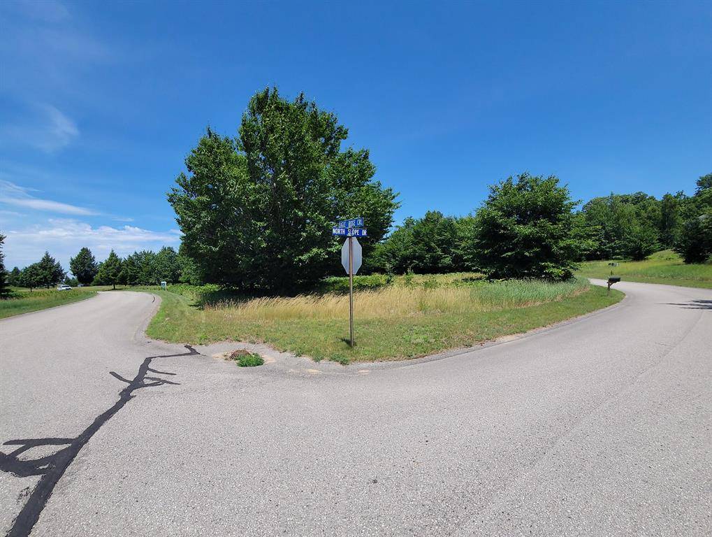 Onekama Twp, MI 49675,Eagle Ridge Circle Lot 121